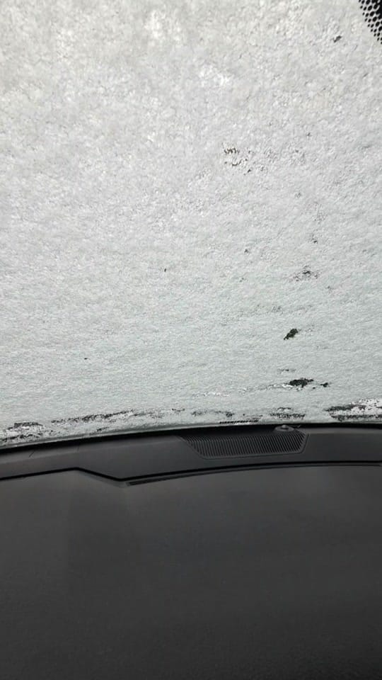 Post 7 by The Deadstock Project on TikTok (video)