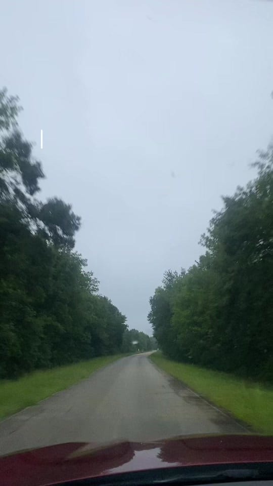 Post 1 by feralandfree on TikTok (video)