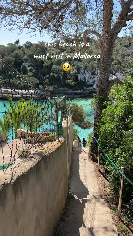 Post 10 by lealifestyle on TikTok (video)