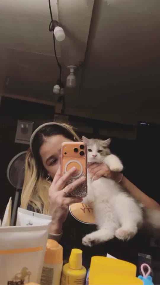 Post 2 by MiloAndKiraraStories on TikTok (video)