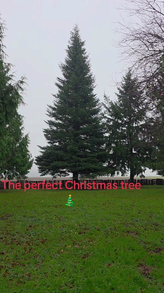 Post 3 by Hobbit_house_farm on TikTok (video)
