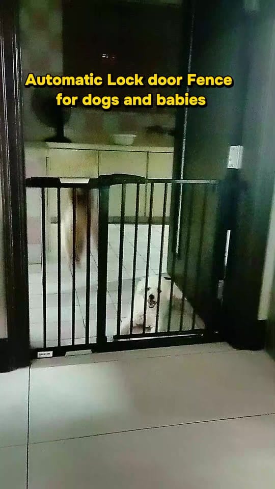 Post 9 by neng garzon fernando on TikTok (video)