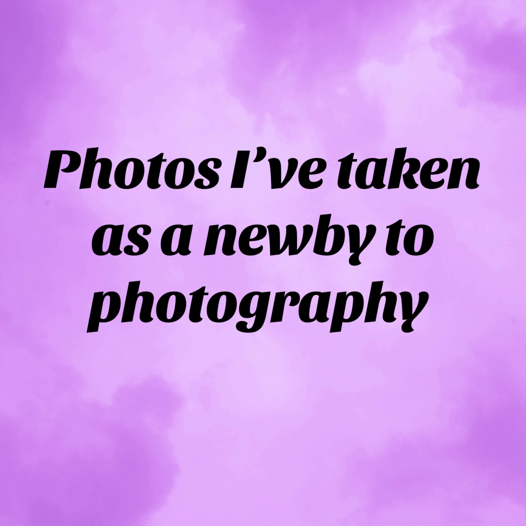 Post 3 by Annie Truitt on TikTok (video)