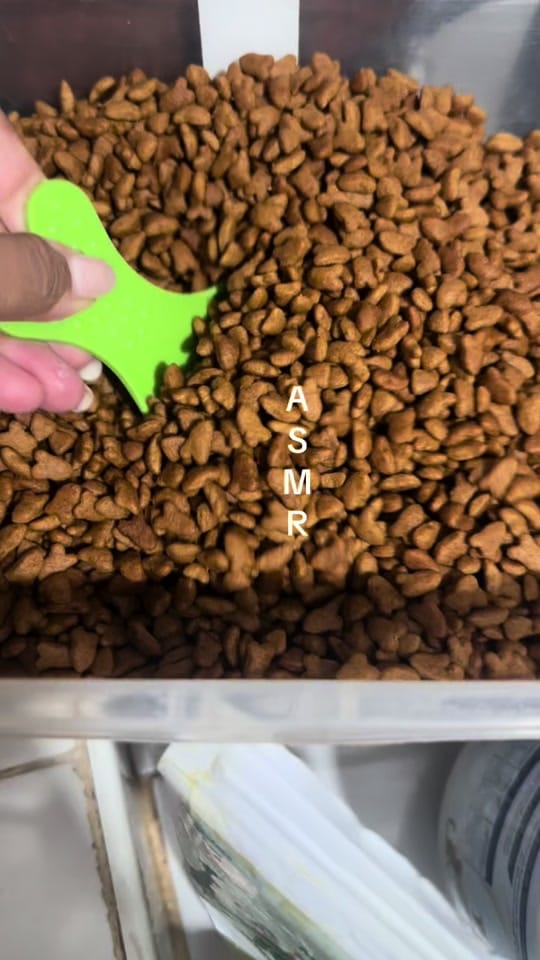 Post 10 by Z Y R A on TikTok (video)