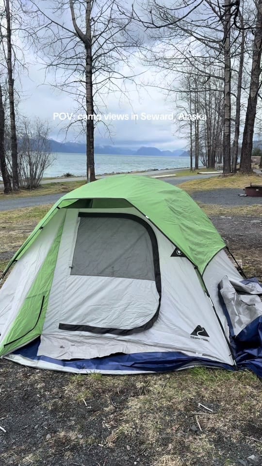 Post 5 by Alexa🌲Travel Nurse Adventures on TikTok (video)