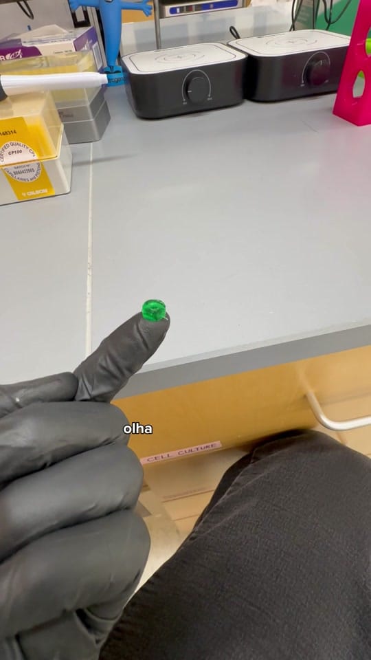 Post 9 by danieldahis on TikTok (video)