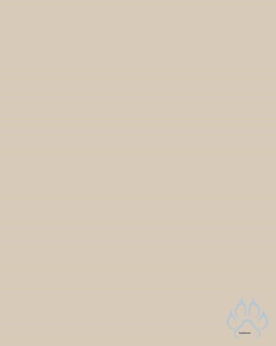 Post 5 by Luminous Bear Shop on TikTok (video)