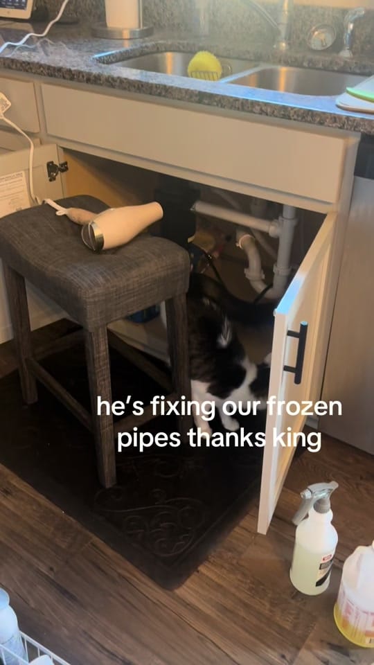 Post 6 by e m m a ! on TikTok (video)