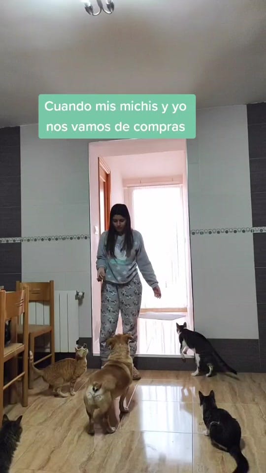 Post 10 by Alicia Morales on TikTok (video)