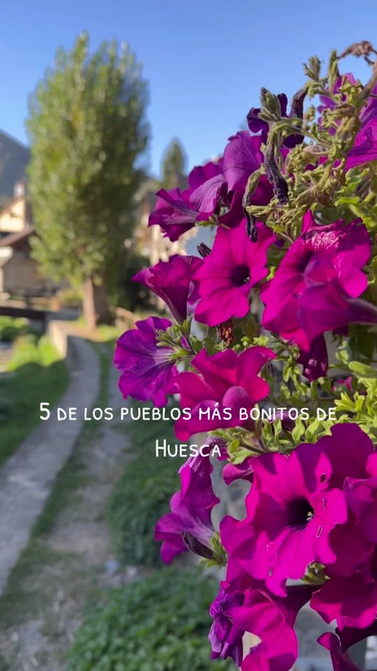 Post 10 by Carol on TikTok (video)