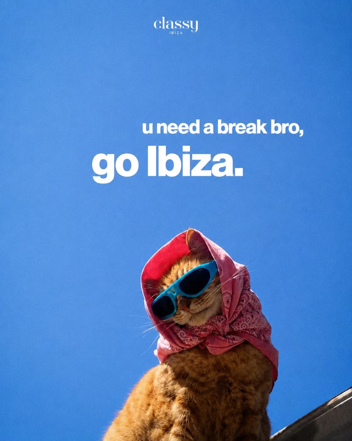 Post 2 by IBIZA • VILLAS YACHTS CARS on TikTok (video)