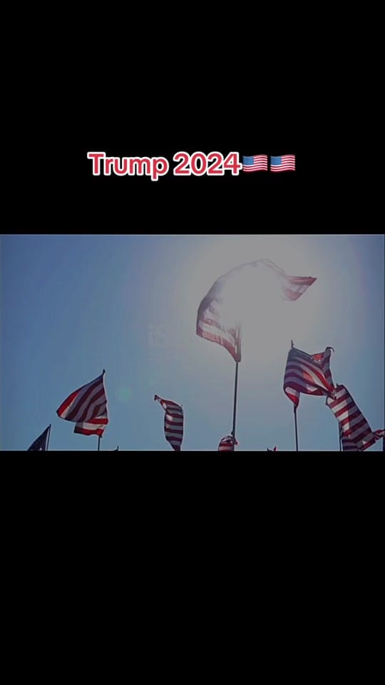 Post 8 by racheldaisyrn on TikTok (video)
