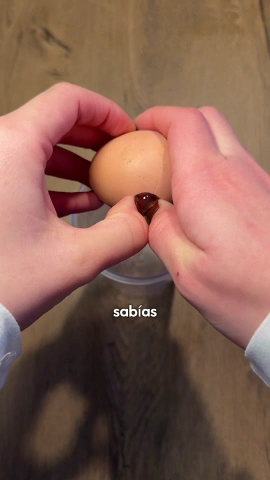 Post 8 by Arantxa Domi 🌷🌙 on TikTok (video)