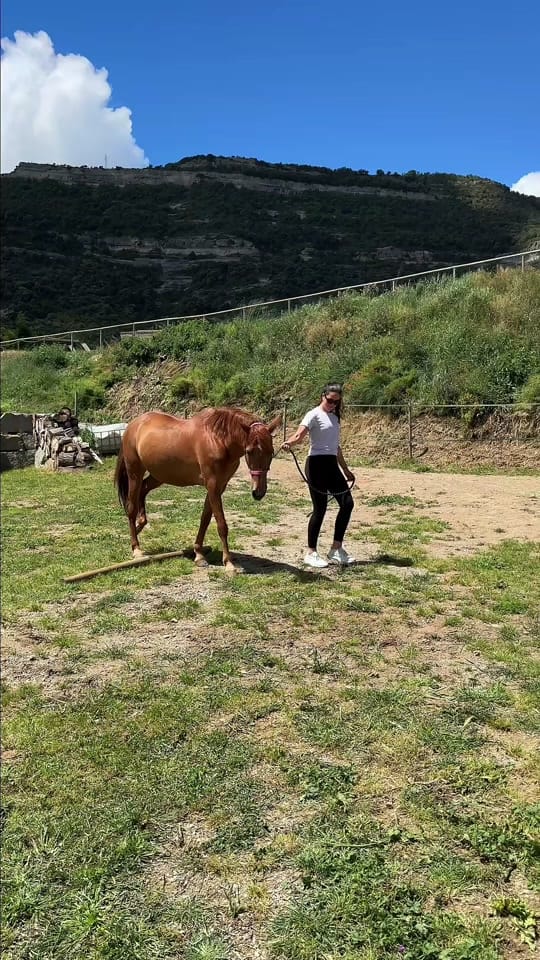 Post 1 by Arantxa Domi 🌷🌙 on TikTok (video)