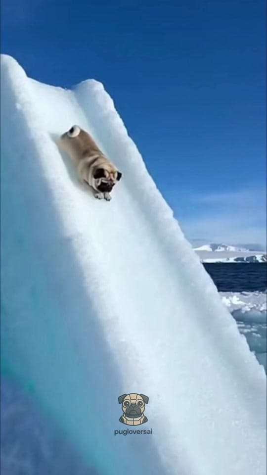Post 7 by Sorascapeai on TikTok (video)
