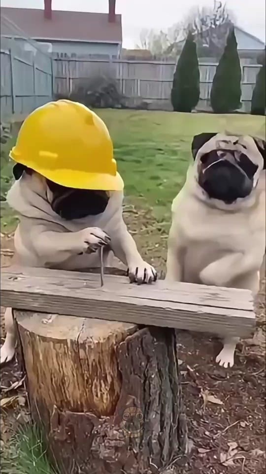 Post 8 by Sorascapeai on TikTok (video)