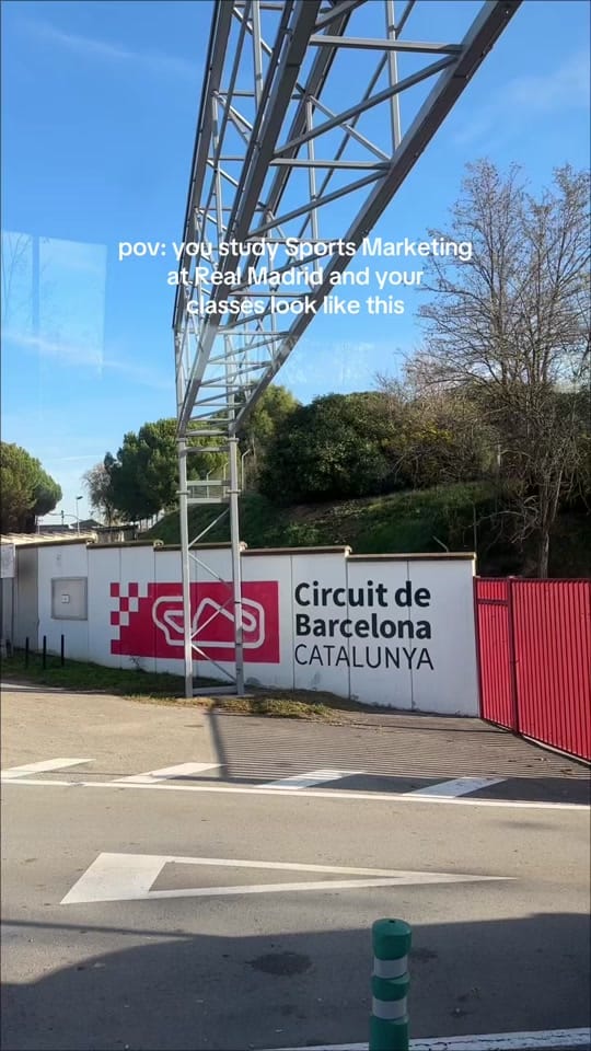 Post 9 by Leonie Peony on TikTok (video)