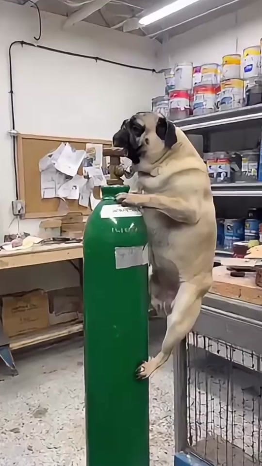 Post 10 by Sorascapeai on TikTok (video)