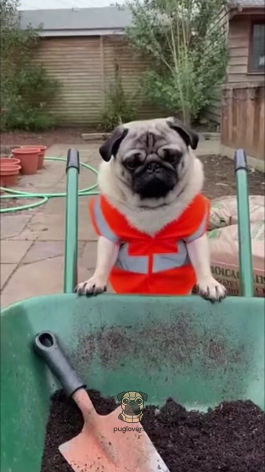Post 5 by Sorascapeai on TikTok (video)