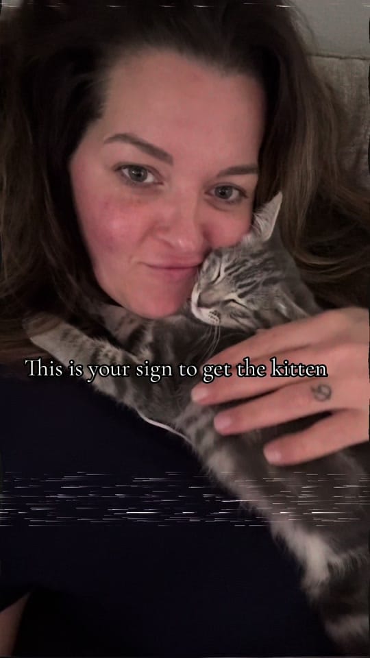 Post 3 by Lucille || BedazzledBoyMom on TikTok (video)