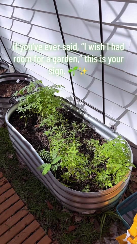 Post 9 by Jenna Senat on TikTok (video)
