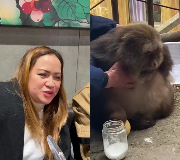 Post 10 by Manuel Agustino on TikTok (video)