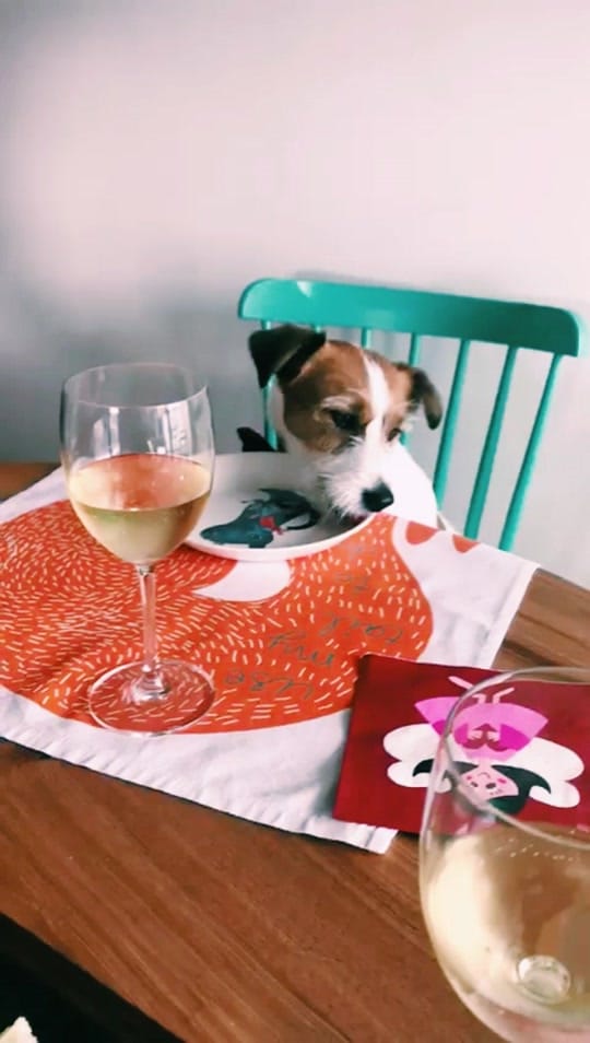 Post 9 by Eddie Jack Russell on TikTok (video)