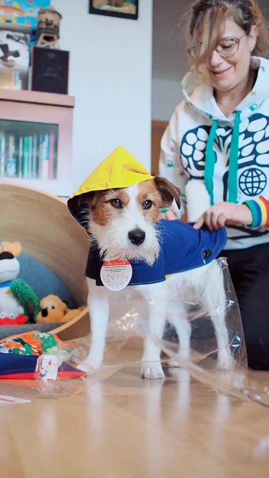 Post 7 by Eddie Jack Russell on TikTok (video)
