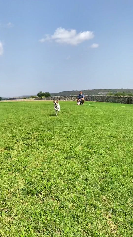 Post 5 by Eddie Jack Russell on TikTok (video)