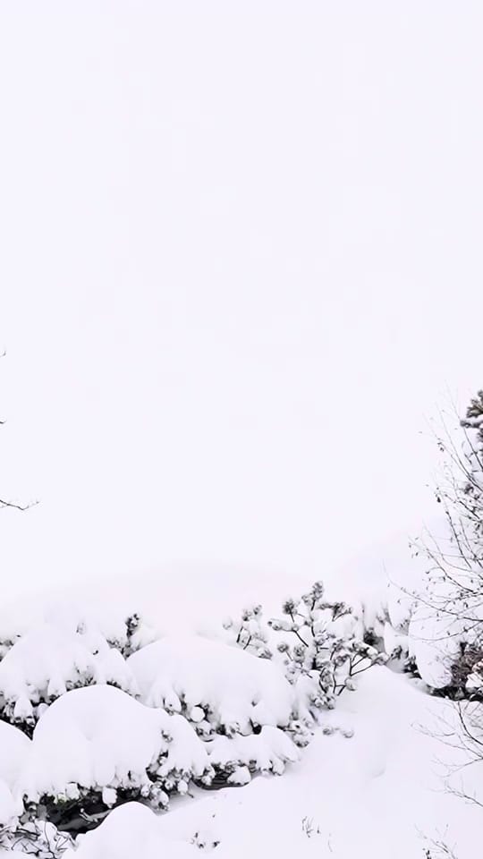 Post 1 by alpineessentials_ on TikTok (video)
