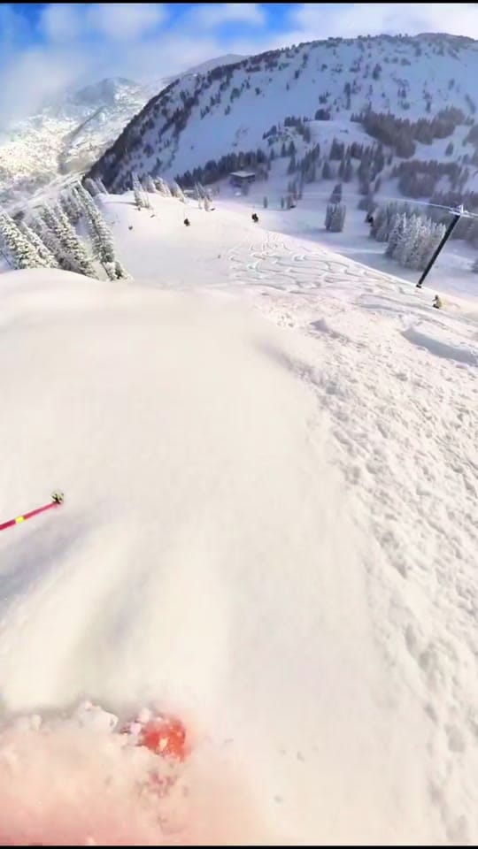 Post 4 by alpineessentials_ on TikTok (video)
