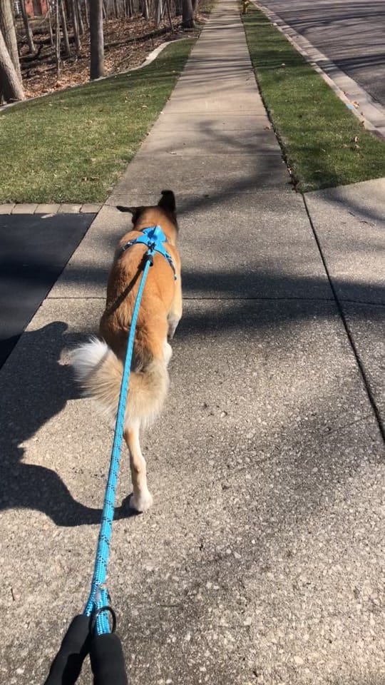 Post 3 by Lizzy on TikTok (video)