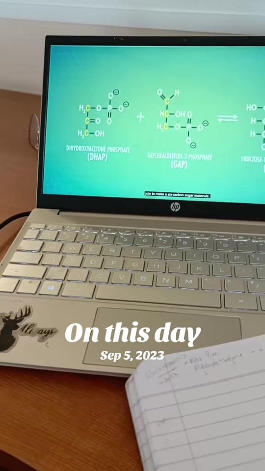 Post 5 by Optimistic Owl on TikTok (video)