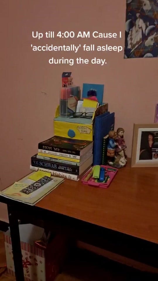 Post 9 by Optimistic Owl on TikTok (video)