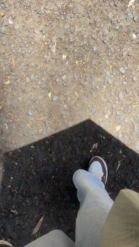Post 3 by Optimistic Owl on TikTok (video)