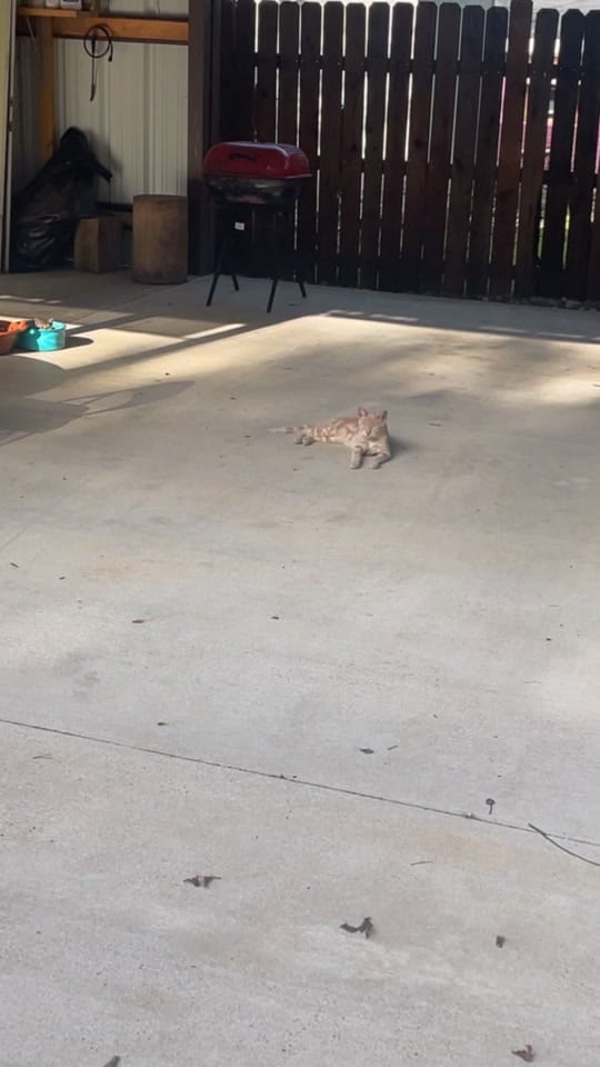 Post 2 by gabivaldez8551 on TikTok (video)