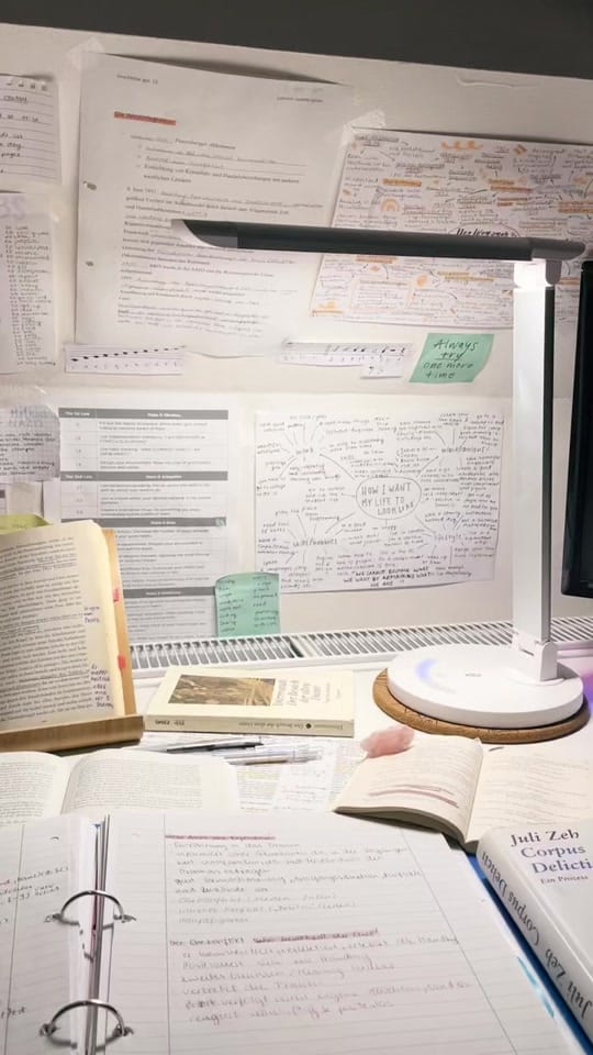 Post 4 by study.future on TikTok (video)