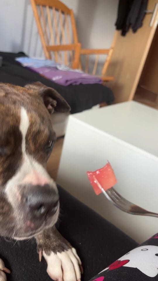 Post 2 by Nina.Jane on TikTok (video)