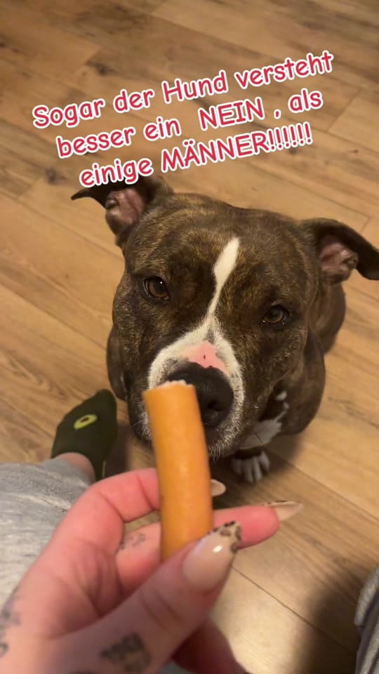 Post 5 by Nina.Jane on TikTok (video)
