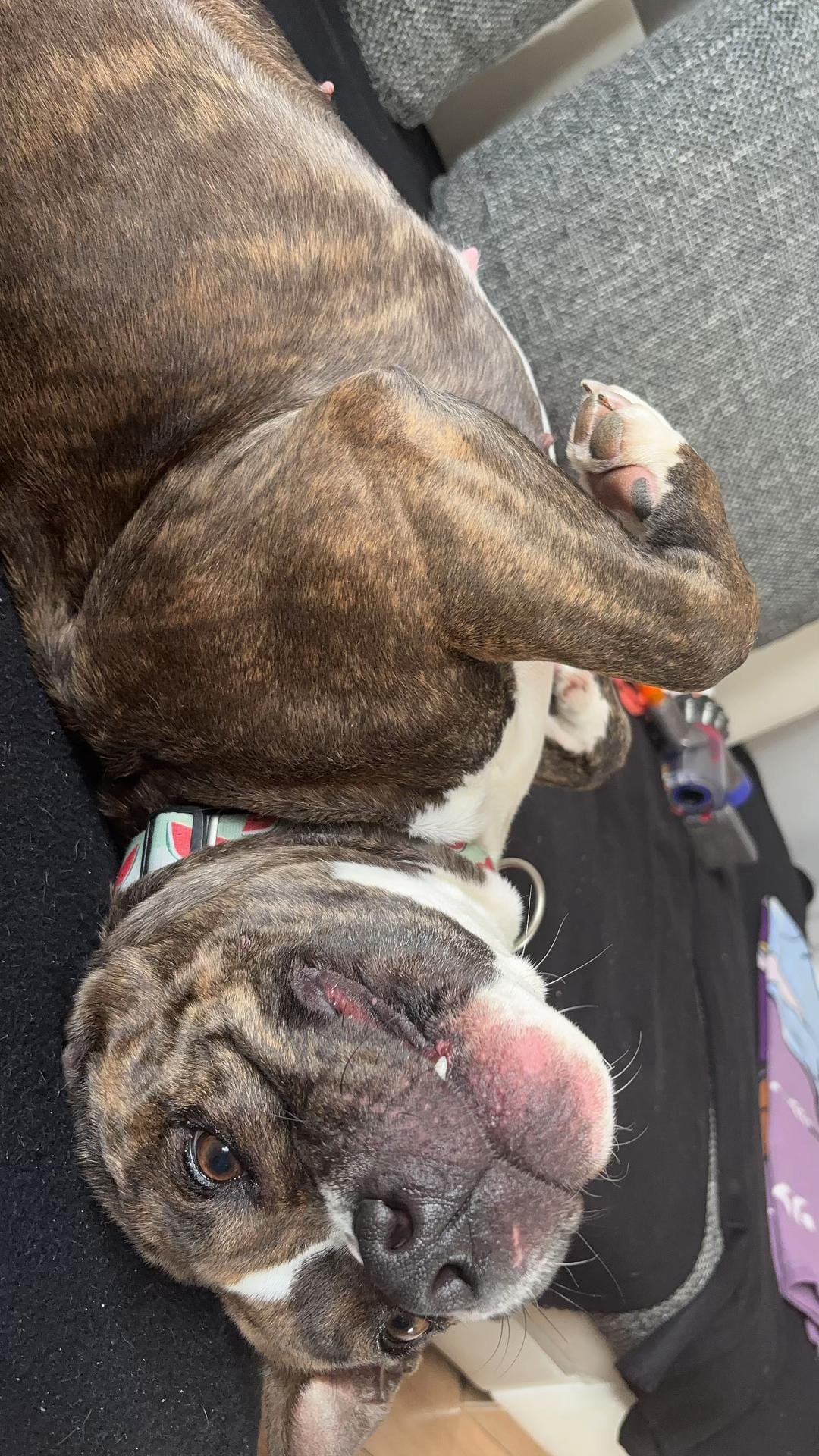 Post 3 by Nina.Jane on TikTok (video)