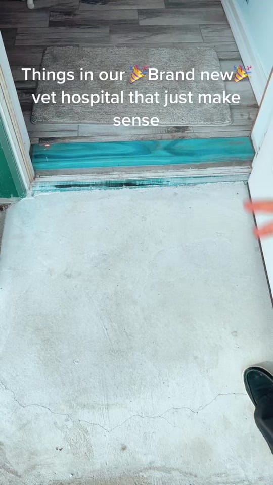 Post 10 by Paws Animal Hospital PA on TikTok (video)