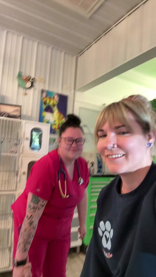 Post 7 by Paws Animal Hospital PA on TikTok (video)