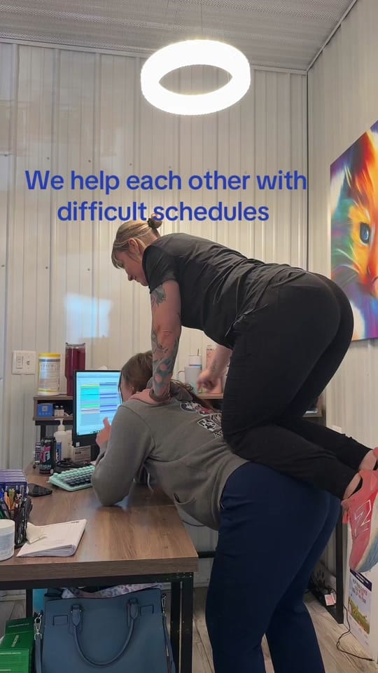 Post 4 by Paws Animal Hospital PA on TikTok (video)