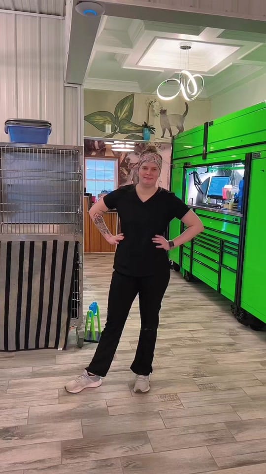 Post 8 by Paws Animal Hospital PA on TikTok (video)