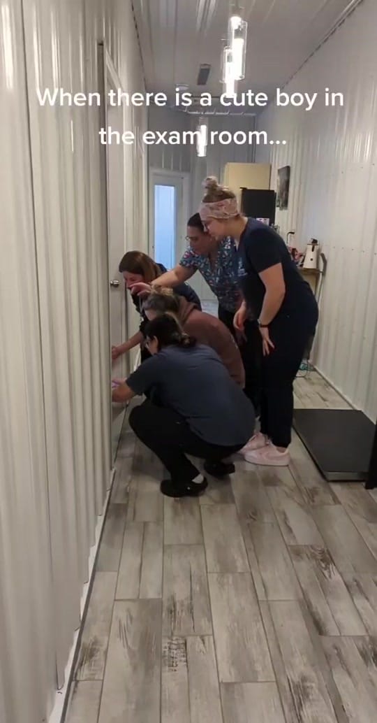 Post 9 by Paws Animal Hospital PA on TikTok (video)
