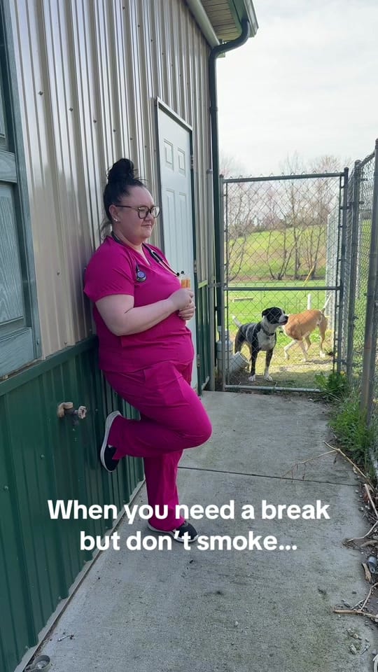 Post 6 by Paws Animal Hospital PA on TikTok (video)