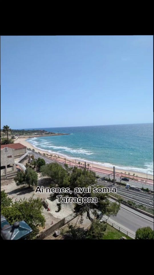 Post 7 by Mireia on TikTok (video)