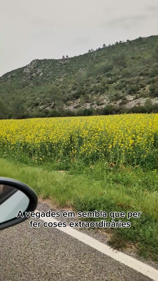 Post 9 by Mireia on TikTok (video)