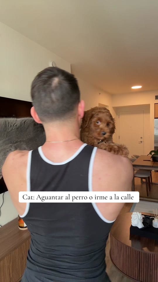Post 6 by J_Miguel Piloto on TikTok (video)