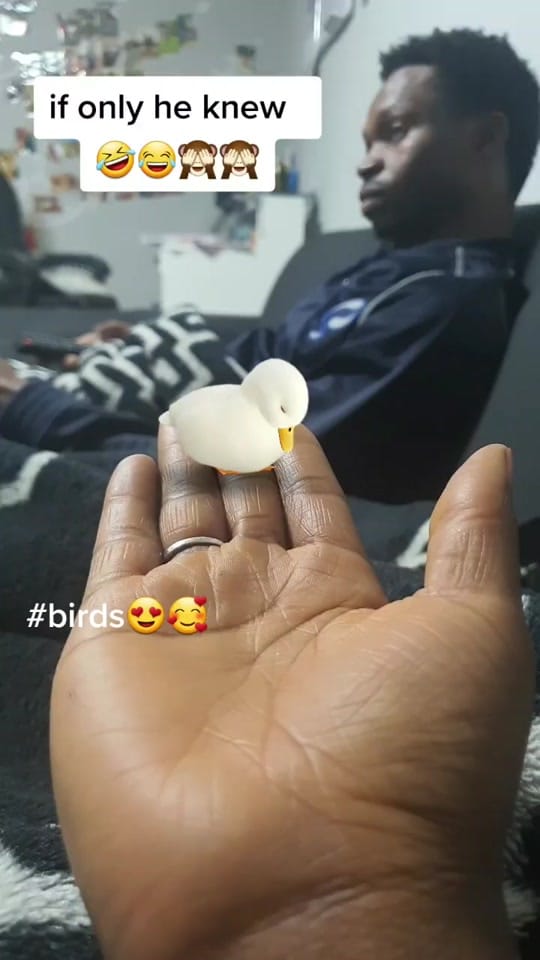 Post 8 by Blessing & Family on TikTok (video)
